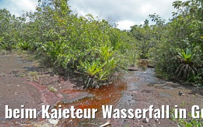 beim Kaieteur Wasserfall in Guyana 21.01.2015