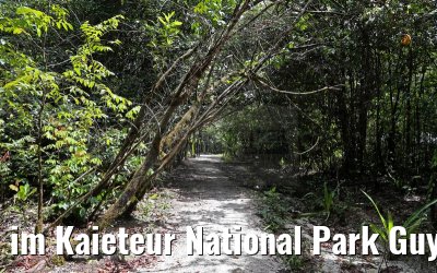 im Kaieteur National Park Guyana 21.01.2015