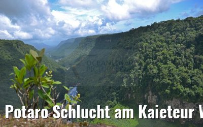Potaro Schlucht am Kaieteur Wasserfall in Guyana 21.01.2015