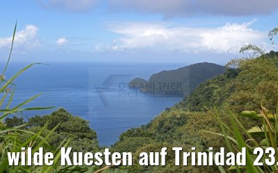 wilde Kuesten auf Trinidad 23.01.2015