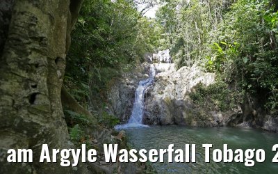 am Argyle Wasserfall Tobago 24.01.2015
