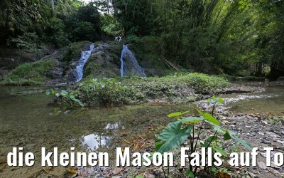 die kleinen Mason Falls auf Tobago am 24.01.2015