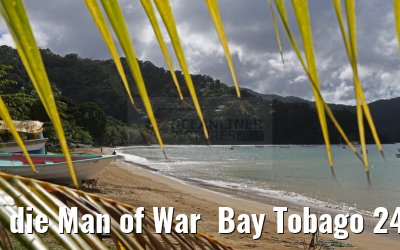 die Man of War  Bay Tobago 24.01.2015