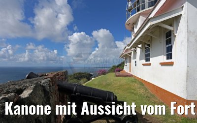 Kanone mit Aussicht vom Fort King George in Scarborough 24.01.2015