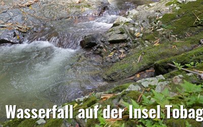 Wasserfall auf der Insel Tobago 24.01.2015