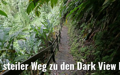 steiler Weg zu den Dark View Falls St. Vincent 25.01.2015