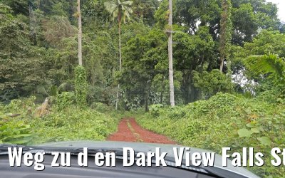 Weg zu d en Dark View Falls St. Vincent 25.01.2015
