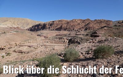 Blick über die Schlucht der Felsenstadt Petra in Jordanien