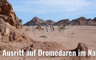 Ausritt auf Dromedaren im Nabq-Nationalpark