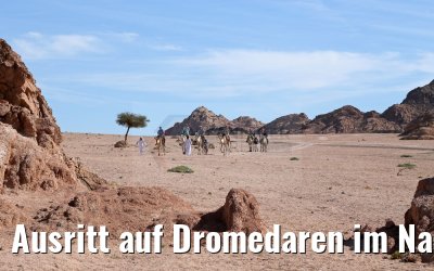 Ausritt auf Dromedaren im Nabq-Nationalpark