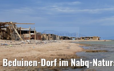 Beduinen-Dorf im Nabq-Naturschutzgebiet