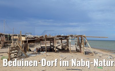 Beduinen-Dorf im Nabq-Naturschutzgebiet
