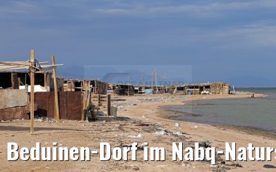 Beduinen-Dorf im Nabq-Naturschutzgebiet