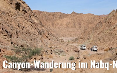 Canyon-Wanderung im Nabq-Nationalpark