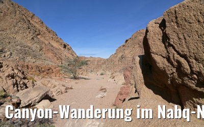 Canyon-Wanderung im Nabq-Nationalpark