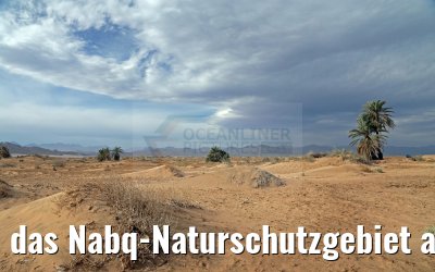 das Nabq-Naturschutzgebiet auf der Sinai-Halbinsel