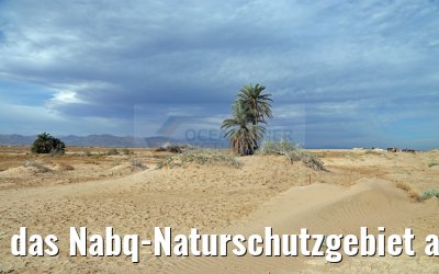 das Nabq-Naturschutzgebiet auf der Sinai-Halbinsel
