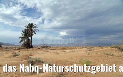 das Nabq-Naturschutzgebiet auf der Sinai-Halbinsel