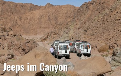Jeeps im Canyon