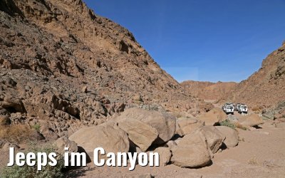 Jeeps im Canyon