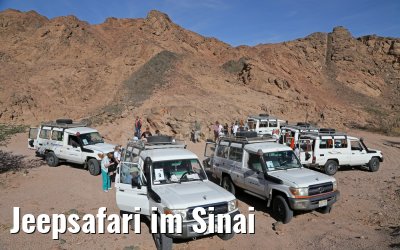 Jeepsafari im Sinai