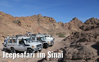 Jeepsafari im Sinai