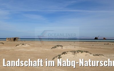 Landschaft im Nabq-Naturschutzgebiet