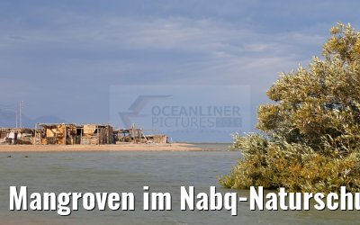 Mangroven im Nabq-Naturschutzgebiet