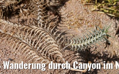Wanderung durch Canyon im Nabq-Nationalpark
