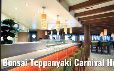 Bonsai Teppanyaki Carnival Horizon
