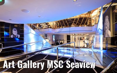 Art Gallery MSC Seaview