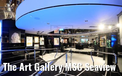 The Art Gallery MSC Seaview