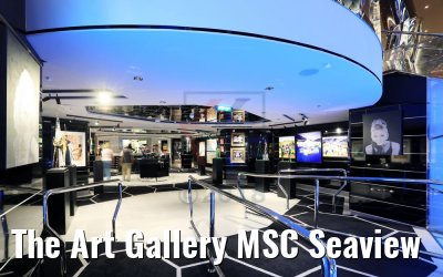 The Art Gallery MSC Seaview