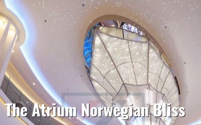 The Atrium Norwegian Bliss