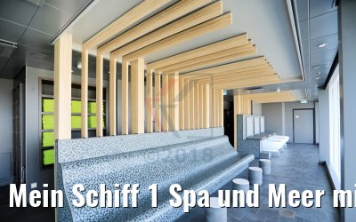 Mein Schiff 1 Spa und Meer mit Sauna