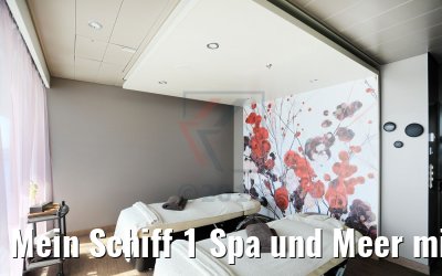 Mein Schiff 1 Spa und Meer mit Sauna