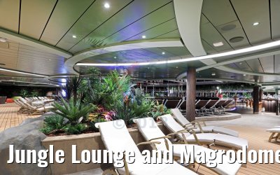 Jungle Lounge and Magrodome area MSC Seaview