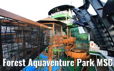 Forest Aquaventure Park MSC Seaview