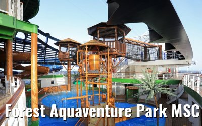 Forest Aquaventure Park MSC Seaview