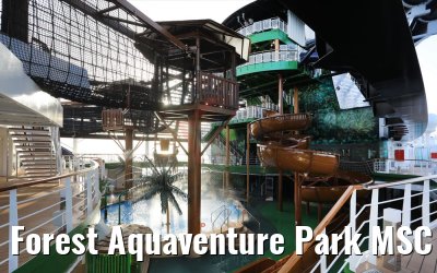 Forest Aquaventure Park MSC Seaview morning view
