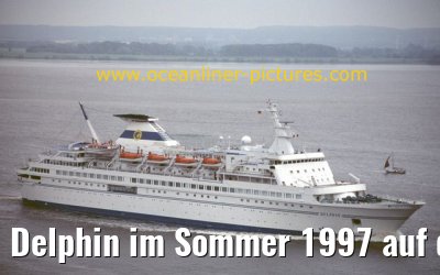 Delphin im Sommer 1997 auf der Elbe
