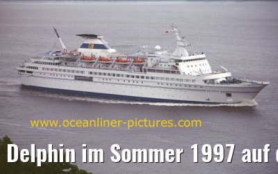 Delphin im Sommer 1997 auf der Elbe