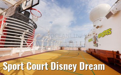 Sport Court Disney Dream