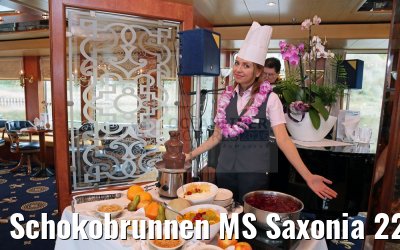 Schokobrunnen MS Saxonia 22.10.2016