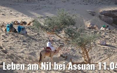 Leben am Nil bei Assuan 11.04.2019