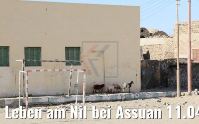 Leben am Nil bei Assuan 11.04.2019