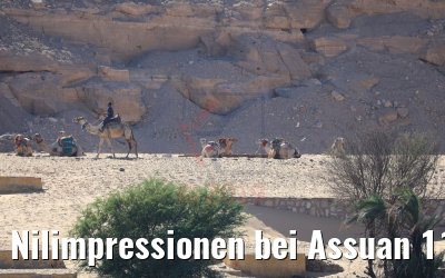 Nilimpressionen bei Assuan 11.04.2019