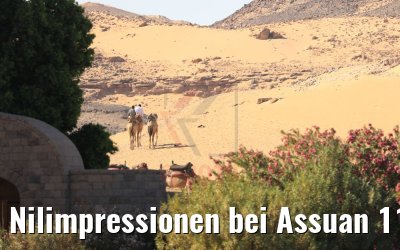 Nilimpressionen bei Assuan 11.04.2019