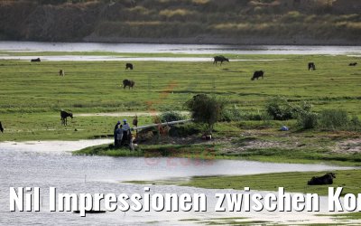 Nil Impressionen zwischen Kom Ombo und Assuan