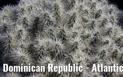 Dominican Republic - Atlantic crossing LEGEND OF THE SEAS March / April 2008